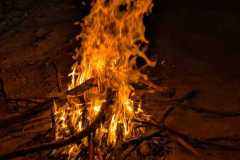 IMG-20260923-WA0012